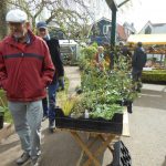 Groenbeurs in de Tuin van Kapitein Rommel