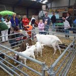 Open Boerderijdag bij familie Res