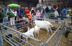 Open Boerderijdag bij familie Res