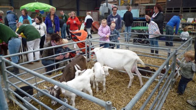 Open Boerderijdag bij familie Res