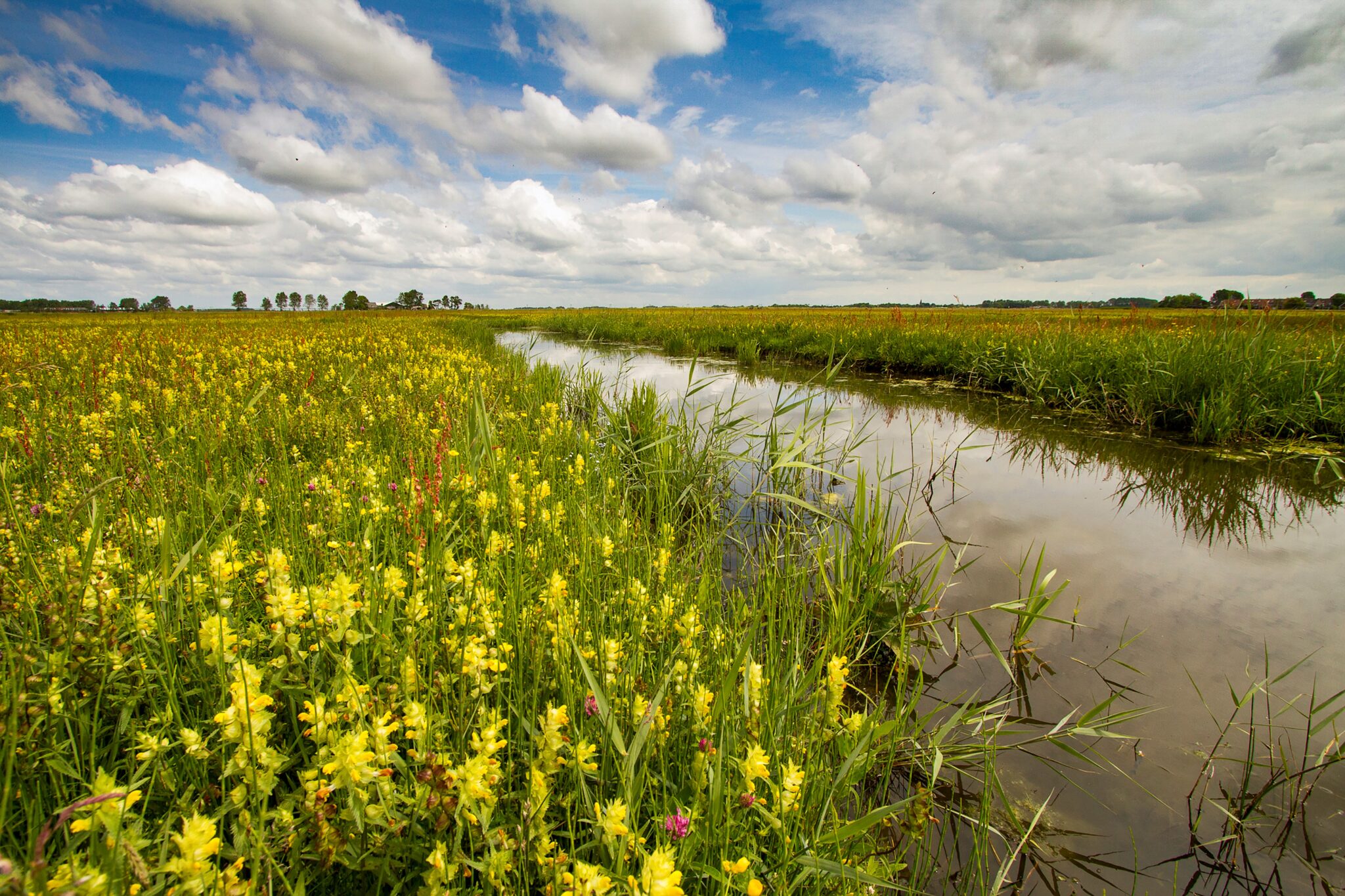 Landschap Noord-Holland zet in op 1 miljoen m2 extra natuur - De ...