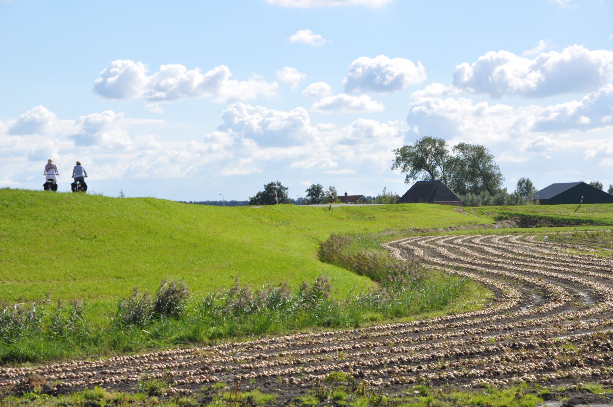 Gratis Routebrochure Fietstocht Oer-IJ – De Castricummer