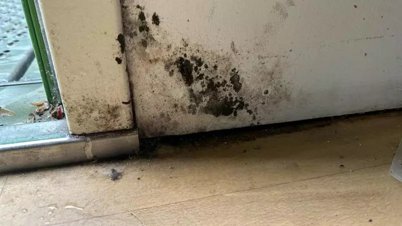 Petitie ‘goede huisvesting’ breed ondertekend
